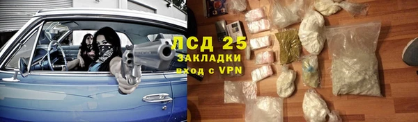 ешки Ельня