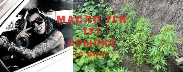 ешки Ельня