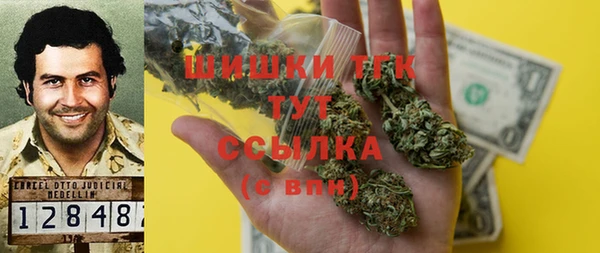 ECSTASY Инсар