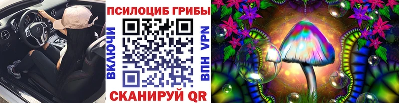Купить закладки  Мегион  Псилоцибиновые грибы ЛСД 